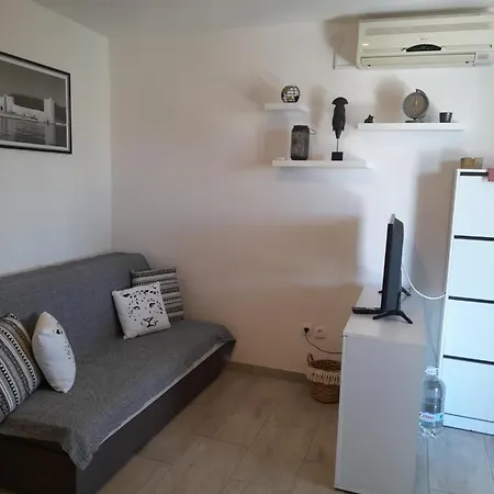 Apartment Bicanic *